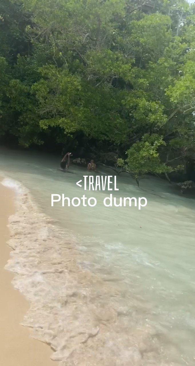 Reise-Foto-Dump🌊