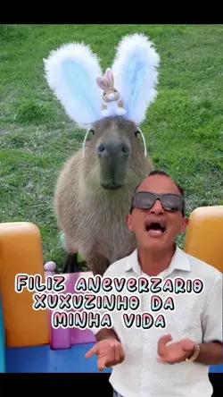 MEUS PARABENZE XUXU
