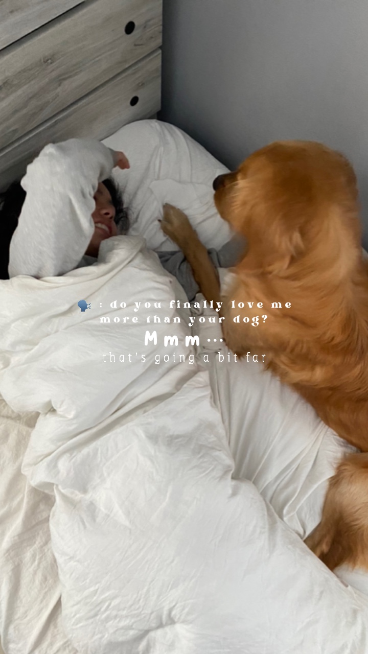 amoureux des chiens 🤍