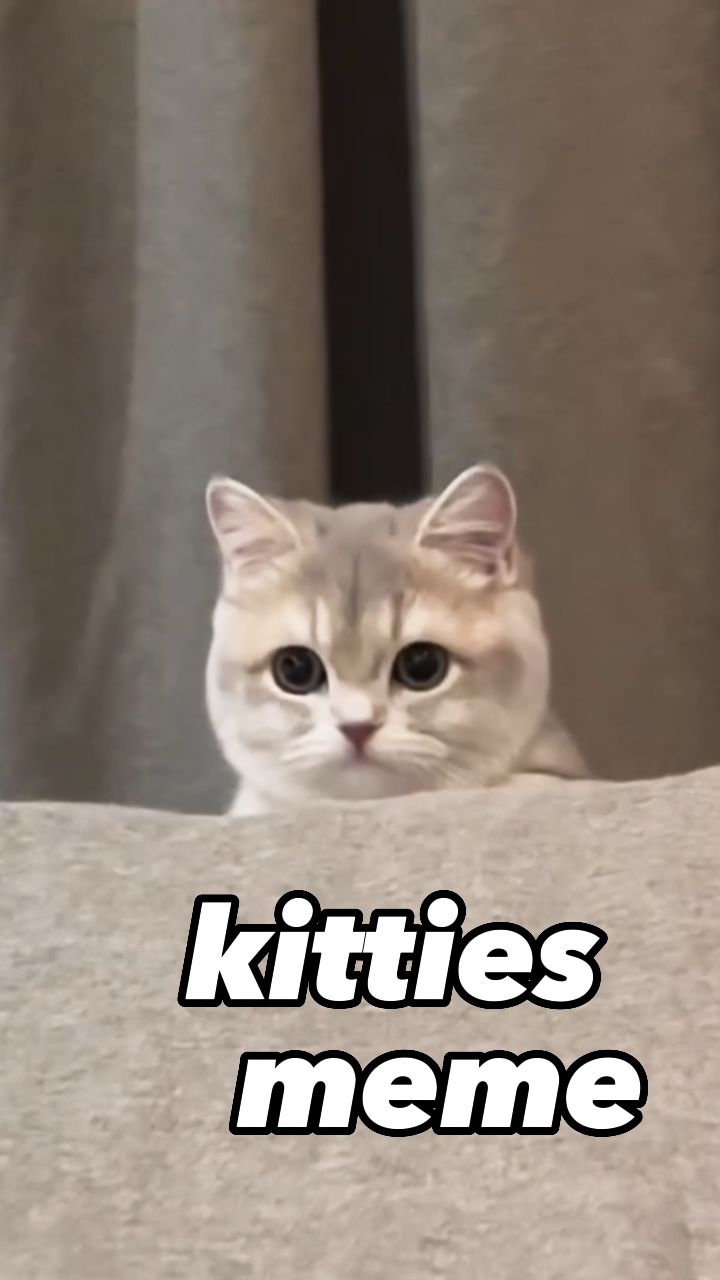 Meme ng Kitties