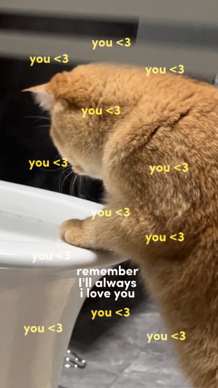 Always love u
