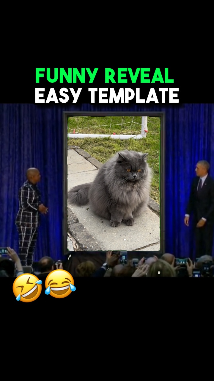 Funny reveal