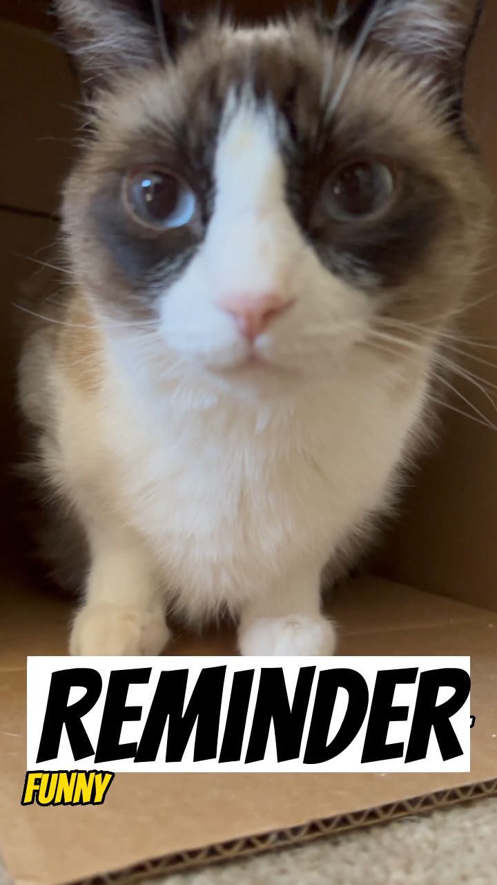 Daily reminder! 