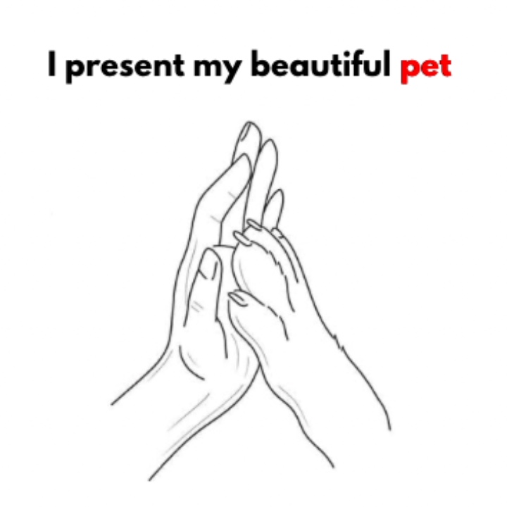 아름다운 애완동물 ❤️‍🩹