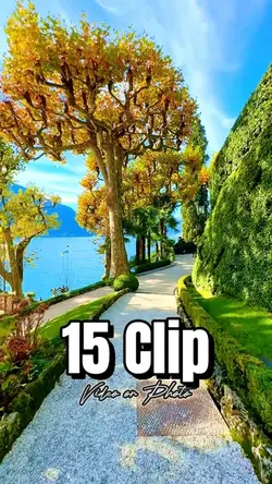 15 Video/Photo