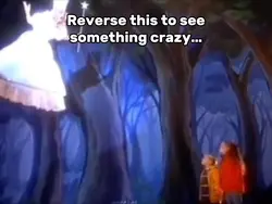 Fairy Falling
