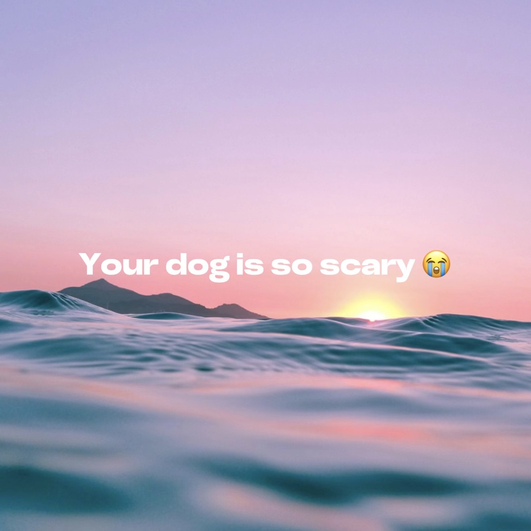 Tu perro da miedo