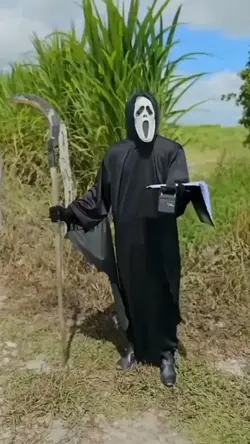amostradinho 