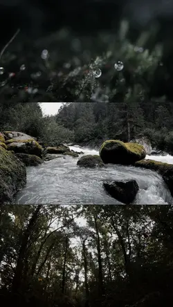 Piano + Nature πΉ