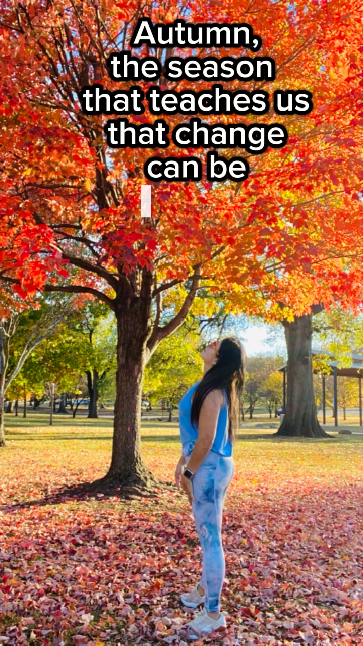 Fall Is Here 