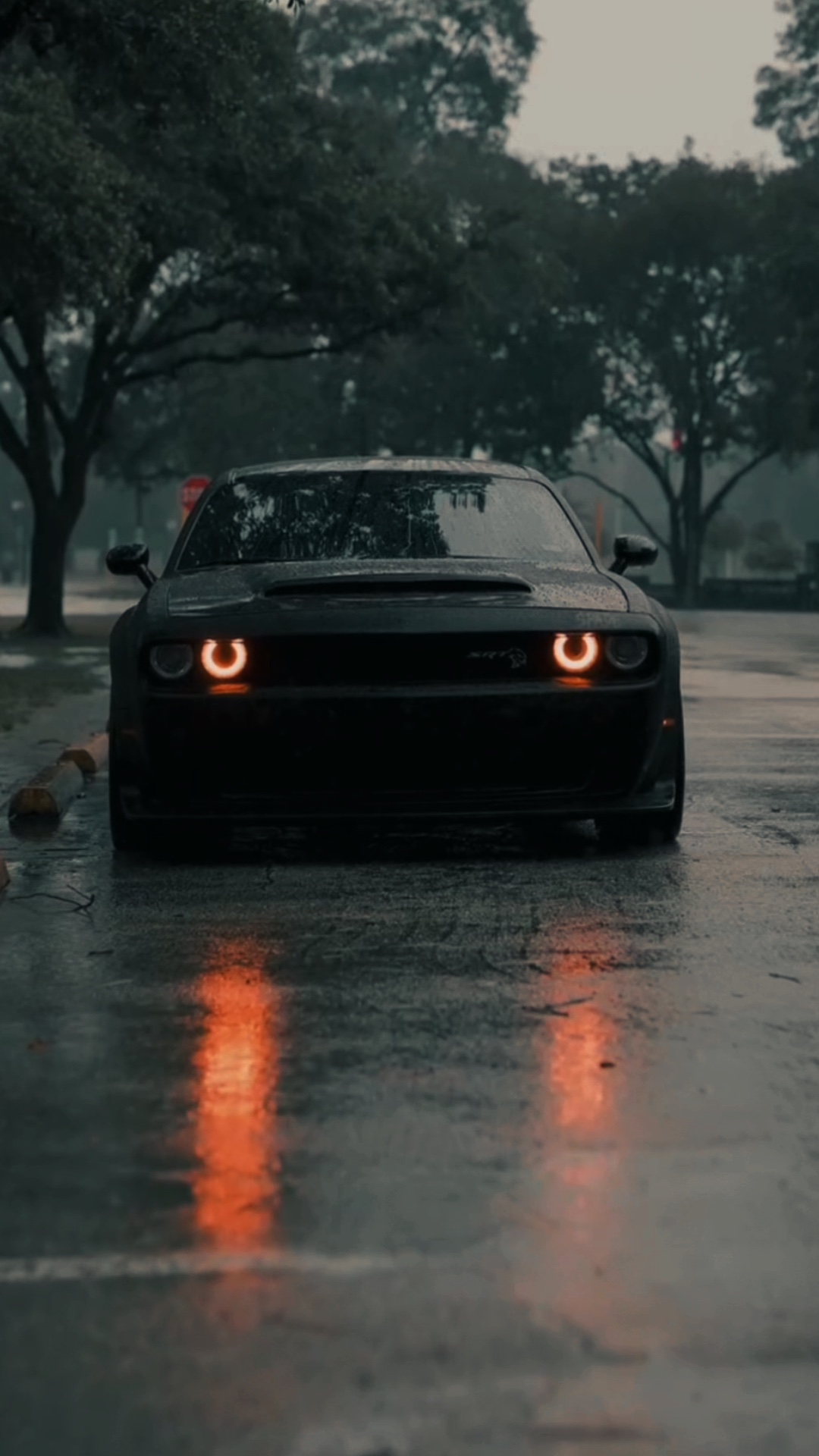 CAR | 3VIDEO
