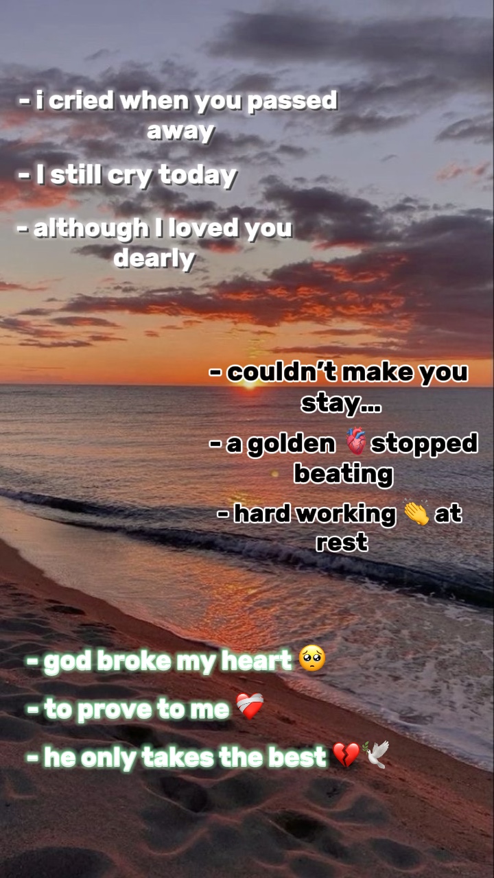 Ich habe dich innig geliebt🕊️💔