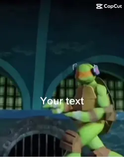 Ninja turtles π’