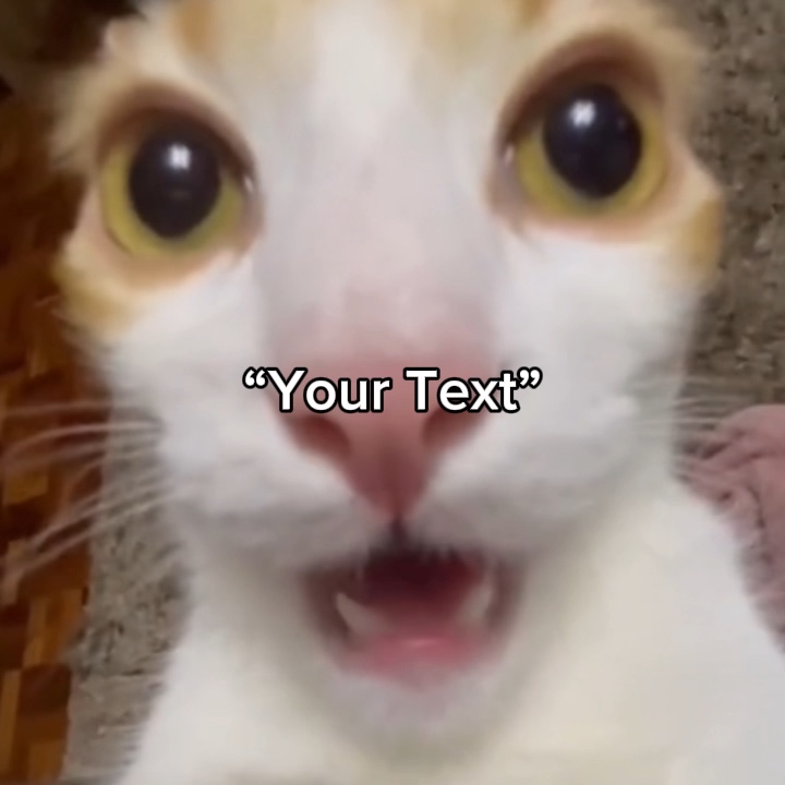 Kedi tweakin 