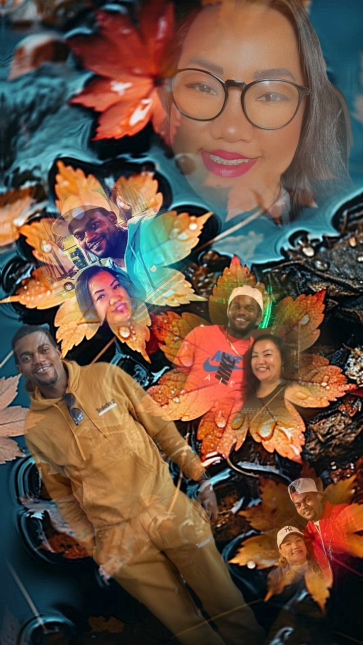 Fotos De Hojas De Caída 🍂🍂🍁