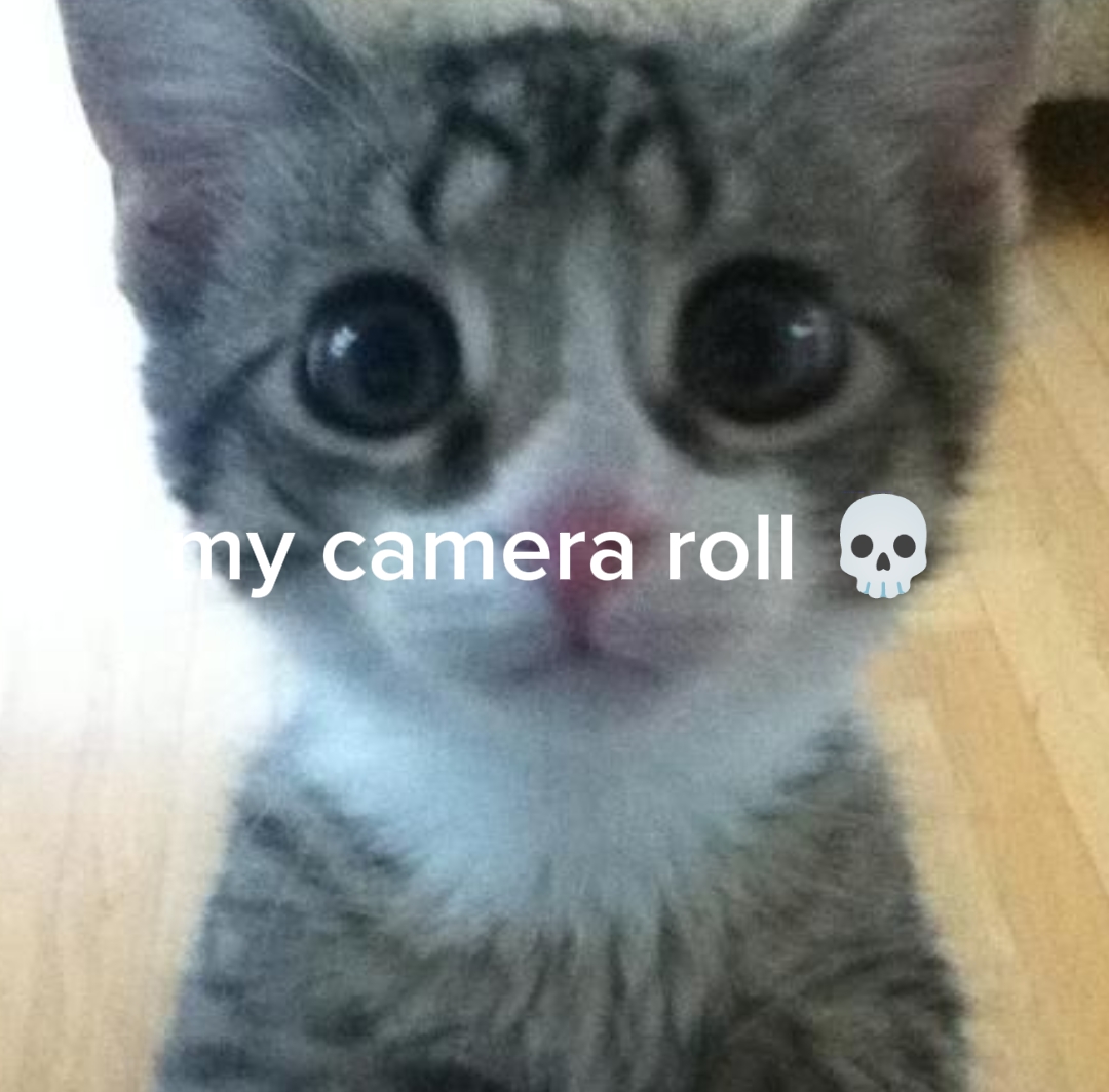 camera roll 