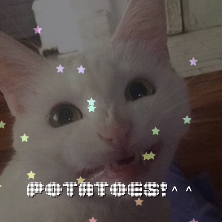Kittys: 3