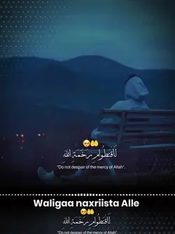 Allah Marcy 