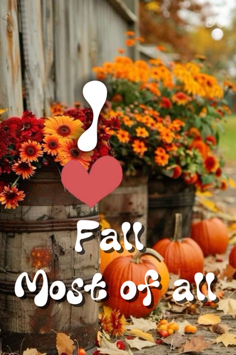 Meilleures photos d'automne🎃🍁🍂