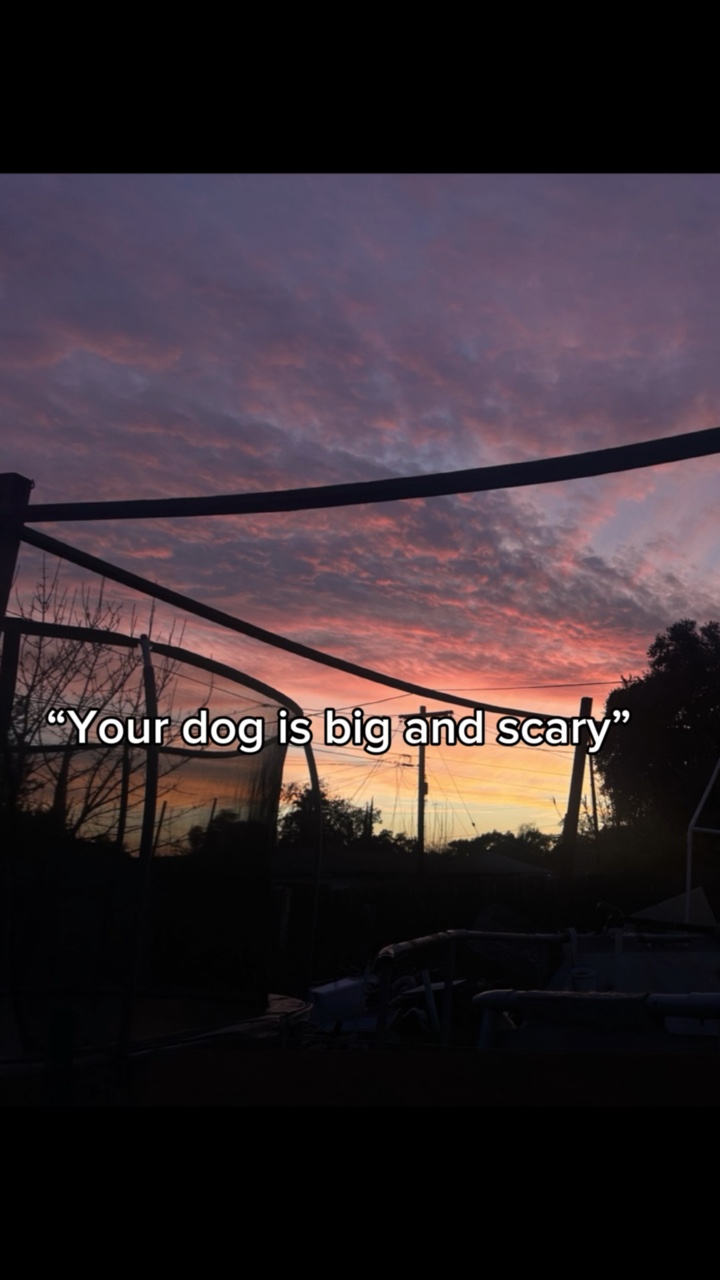 Big an scary 