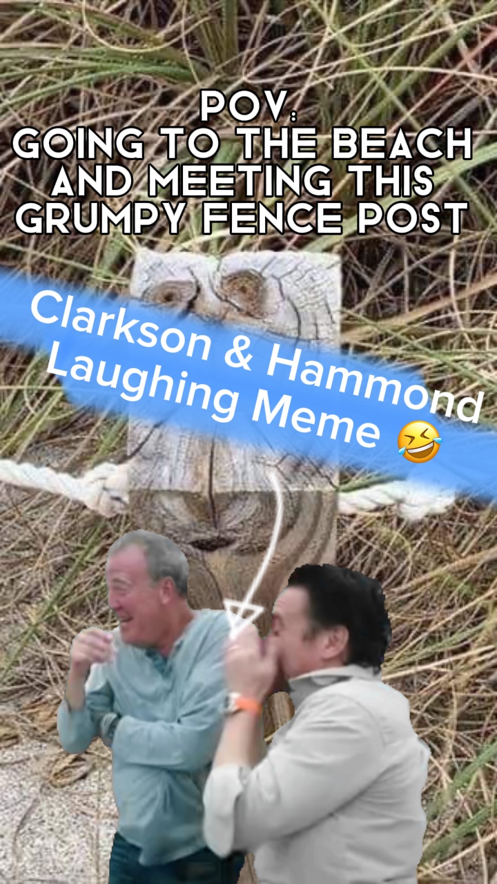 gülen meme 🤣