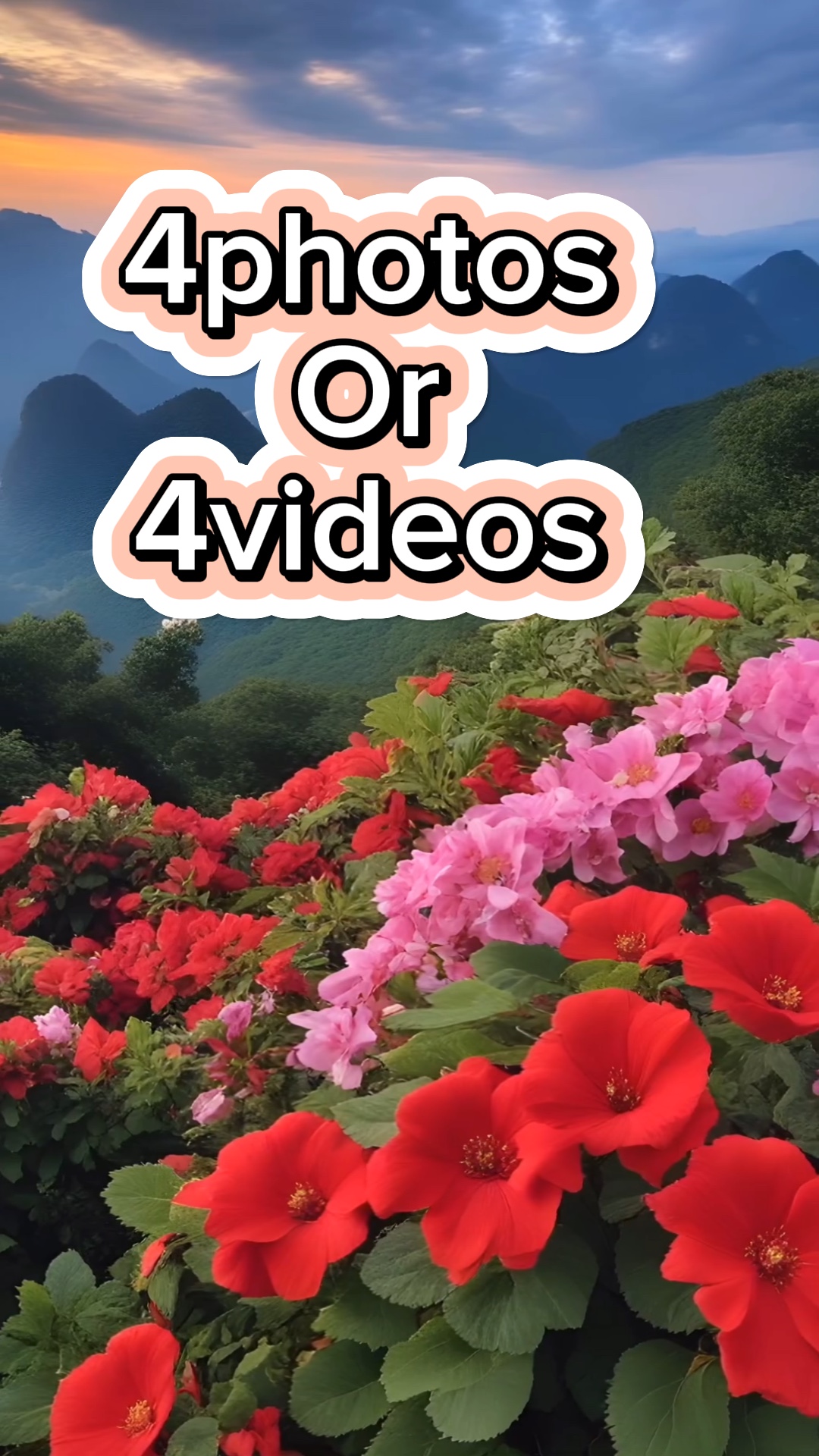 4 fotos / videos