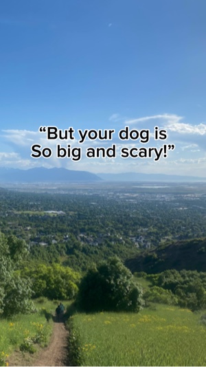 Scary?!?! Nah.