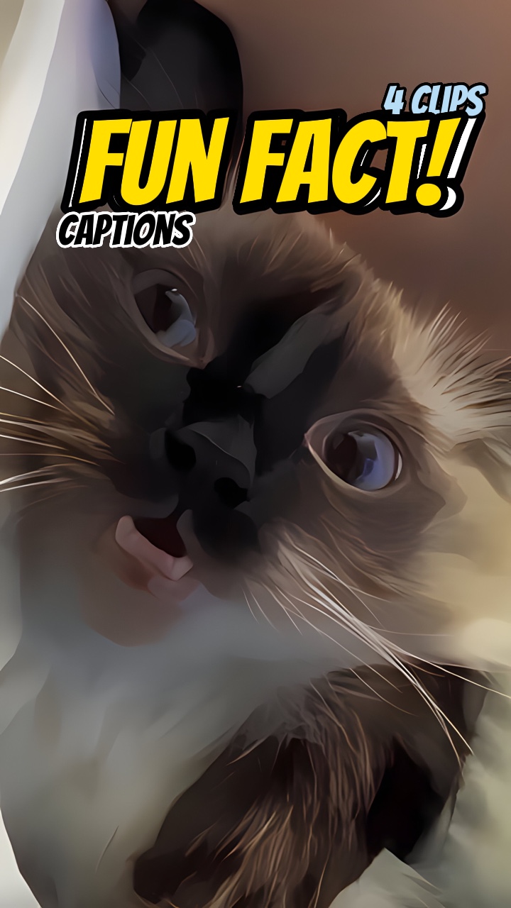 Nakakatuwang katotohanan! 😸