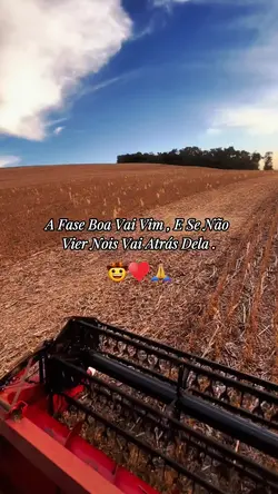 a fase boa vai vim