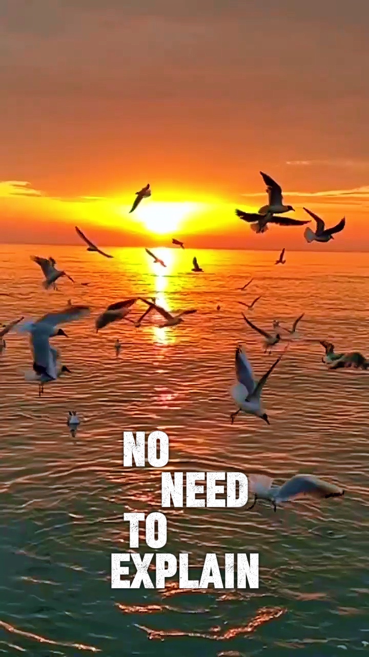 No negative vibes