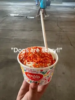 Smile dog