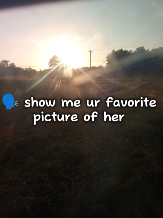 horse edit 