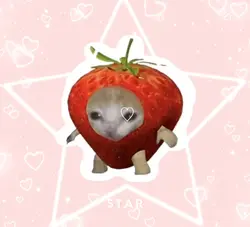 Cute cat edit! 💗