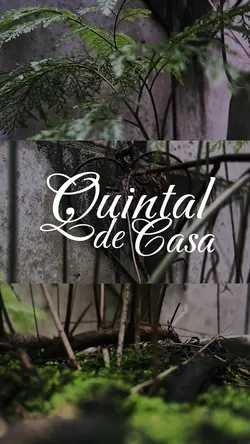Cotidiano. 