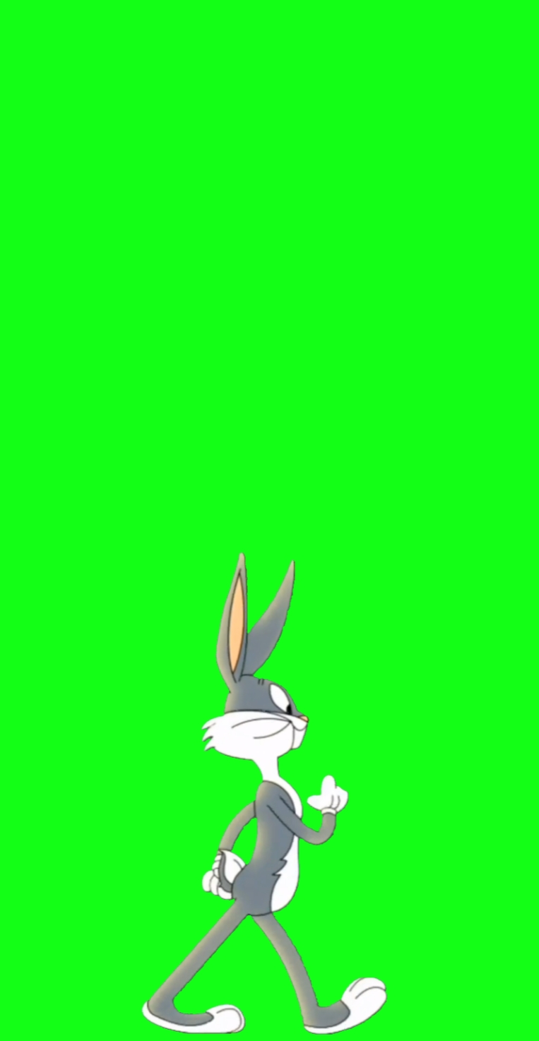  Pantalla verde de conejito 