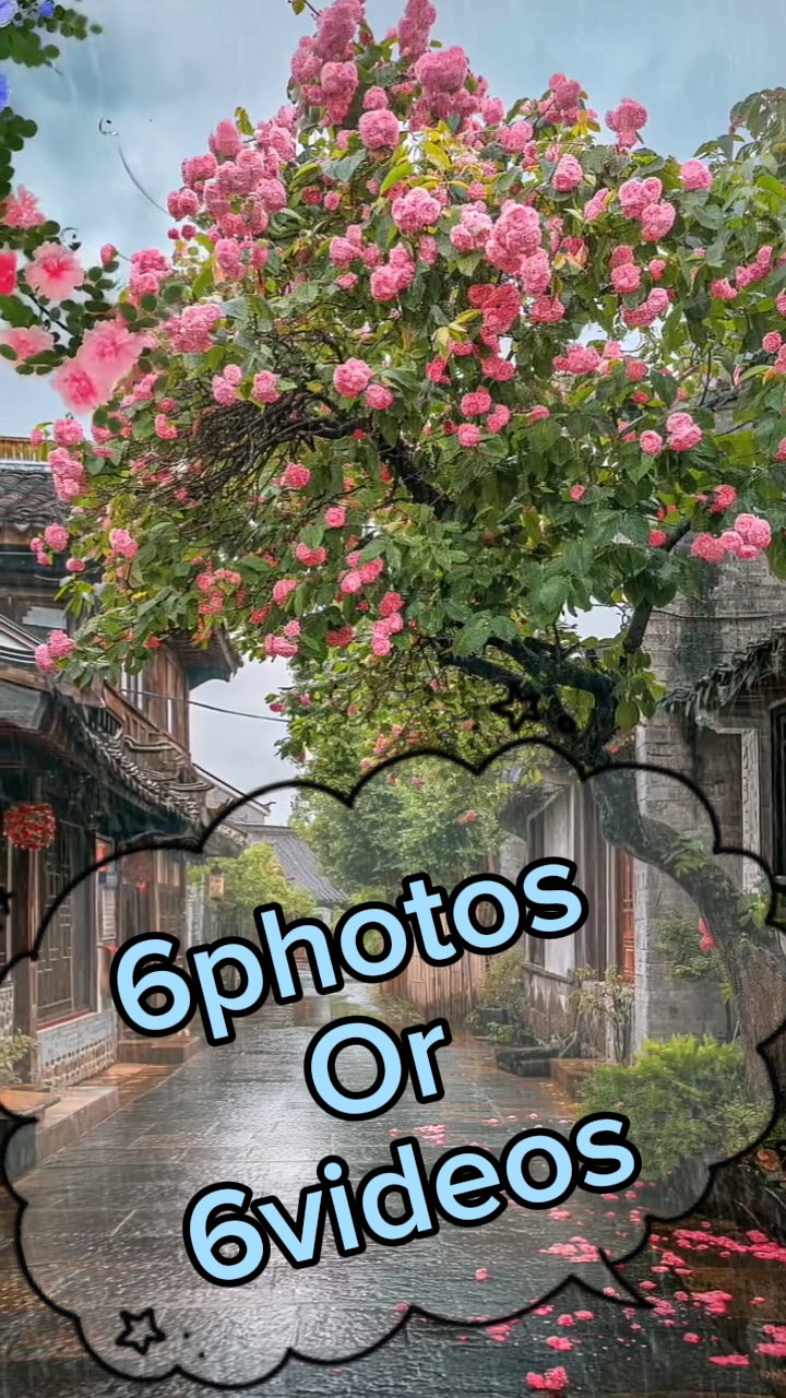 6photos / vidéos