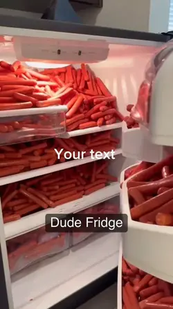 Sulltek’s fridge 