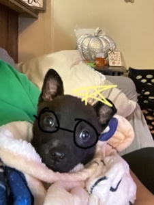 My dog🧚‍♀️✨💐💕