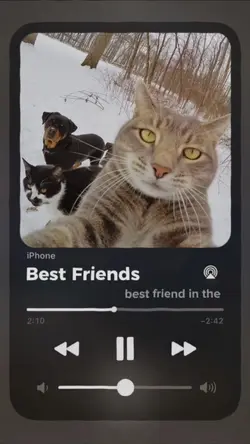 Best friends 