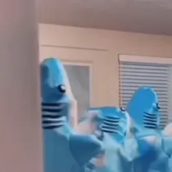 Shark party