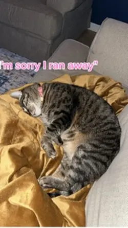 💔