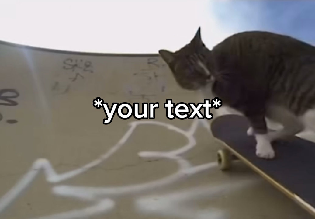 Cat riding meme
