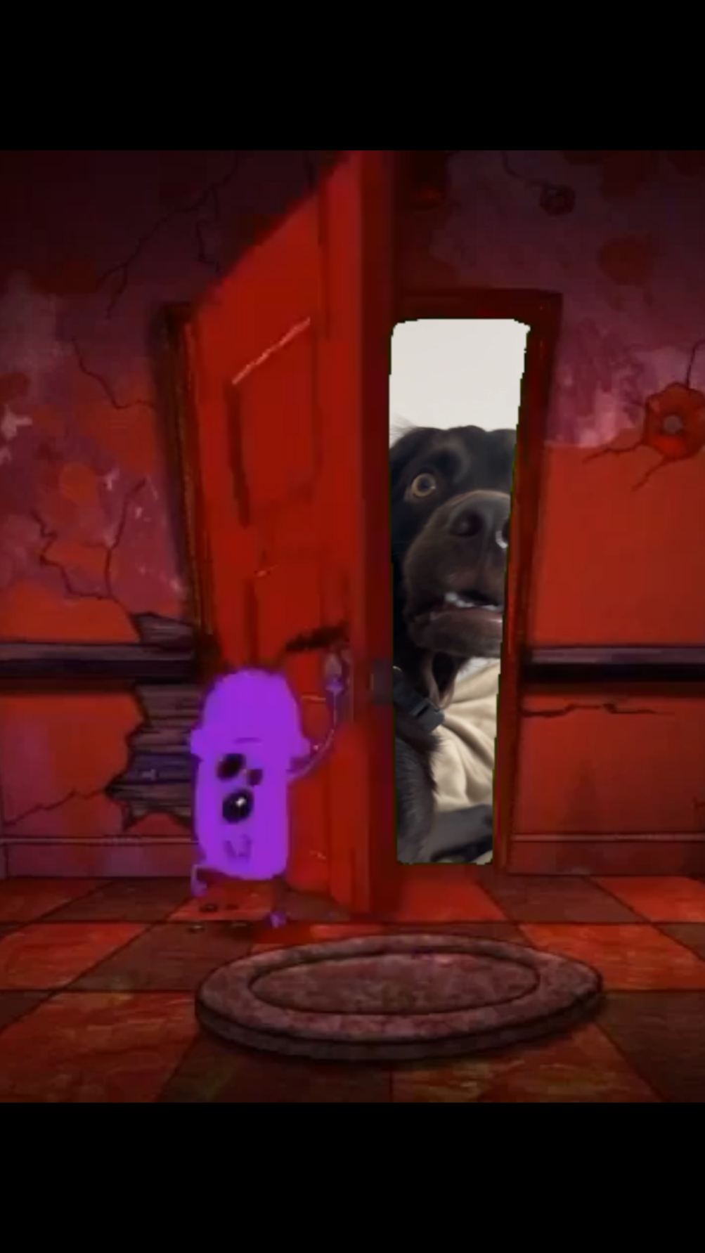Surprise de porte