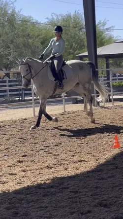 Horse canter slomo