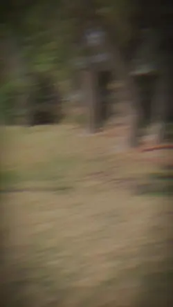 Mini Horror Movie