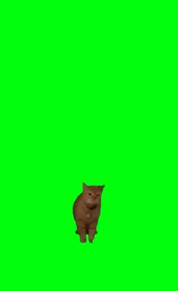 cat singing