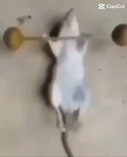 Working out