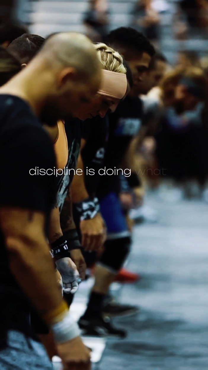 Discipline 