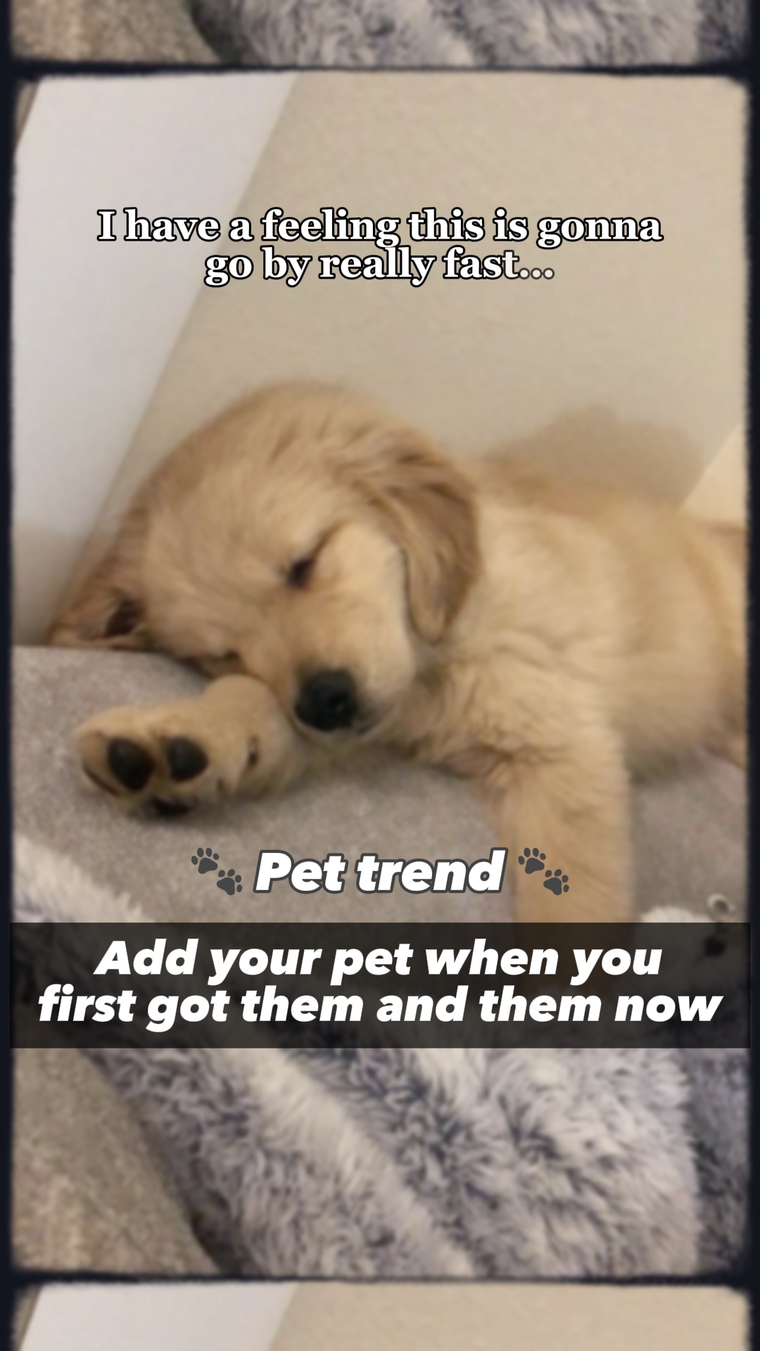Pumunta sa pamamagitan ng talagang mabilis🐾🤍