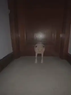 Are you pooping? 🤨